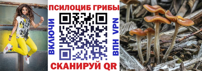 Галлюциногенные грибы Psilocybine cubensis  даркнет сайт  Остров 