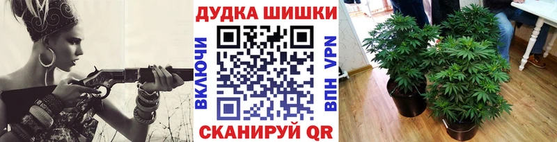 где купить наркотик  Остров  Бошки Шишки гибрид 